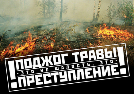 Пал сухой травы опасен!